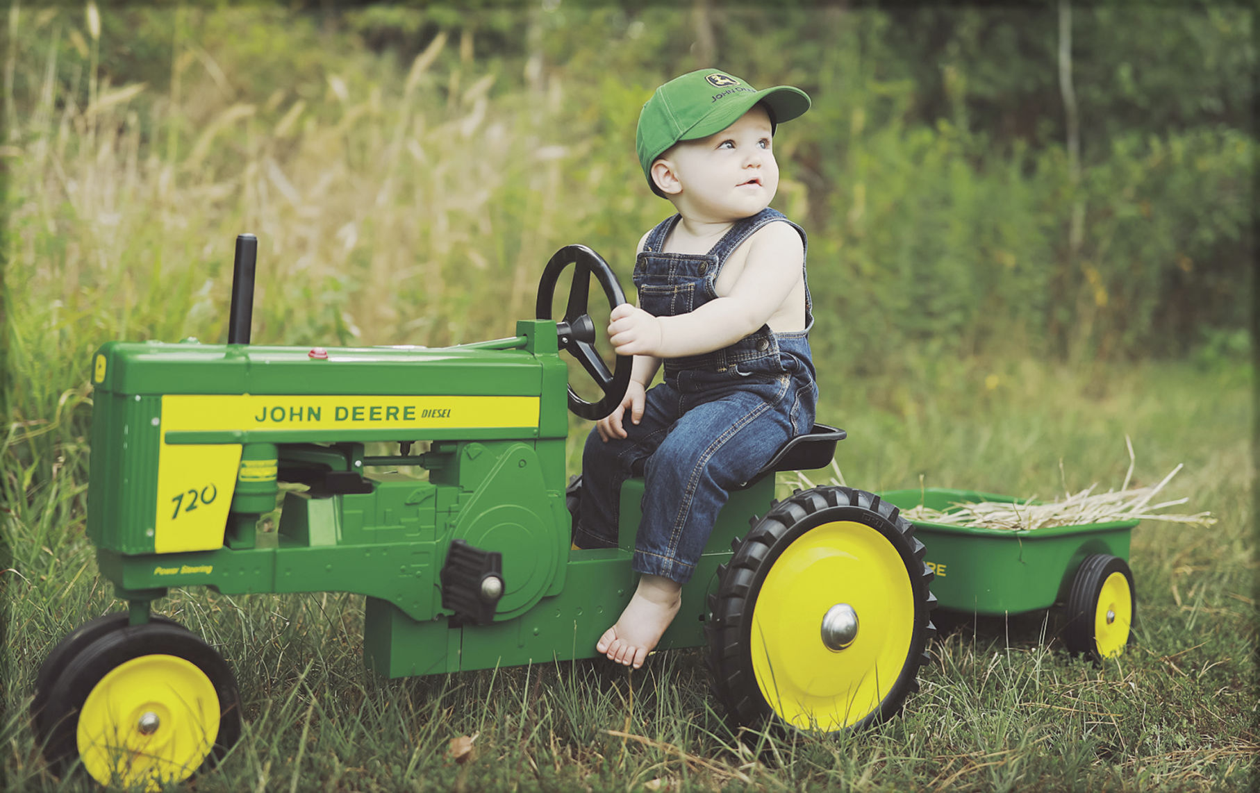 Harvest time